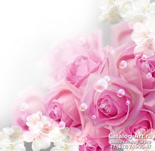 Pink roses 43
